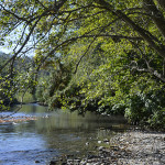 River Runs through