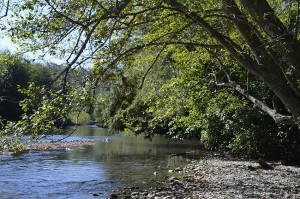 River Runs through