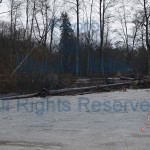 Raging Dungeness River