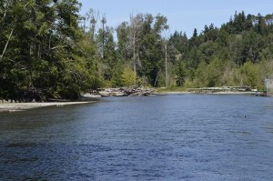 Wide across the river