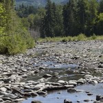 Water flows through the rocky banks