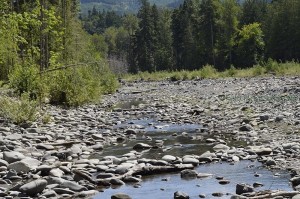 Water flows through the rocky banks