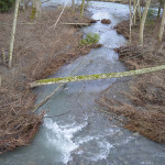 Dungeness River near Railroad Park Bridge