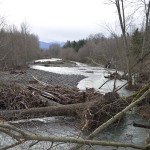 Overcast day promotes the gray tones of the river