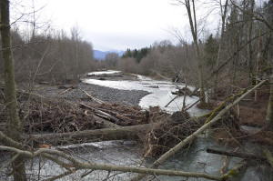 Overcast day promotes the gray tones of the river