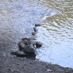 Stacked Stones