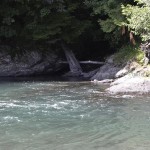 Sparkling whitecaps dance along the shower