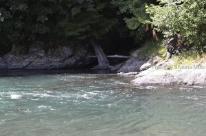 Sparkling whitecaps dance along the shower