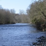Small rapids on the river