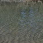 Clear, cool water shows the smooth sand