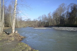A Split in the River