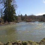 Rushing River flowing smoothly along