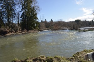 Rushing River flowing smoothly along
