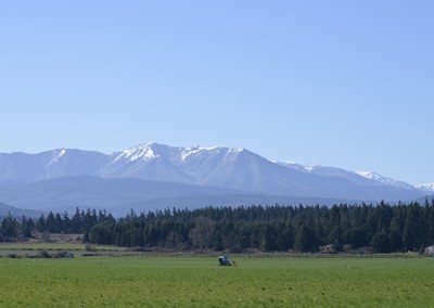Majestic Olympic Mountains