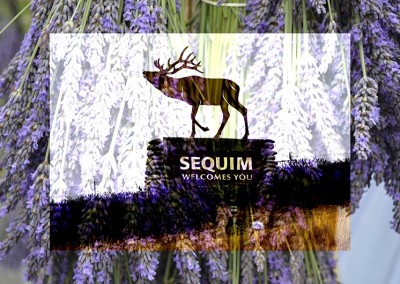 Sequim: Elk & Lavender